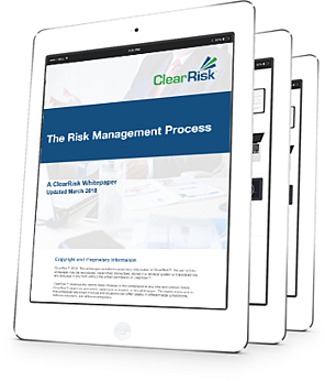 Whitepaper: The Risk Management Process