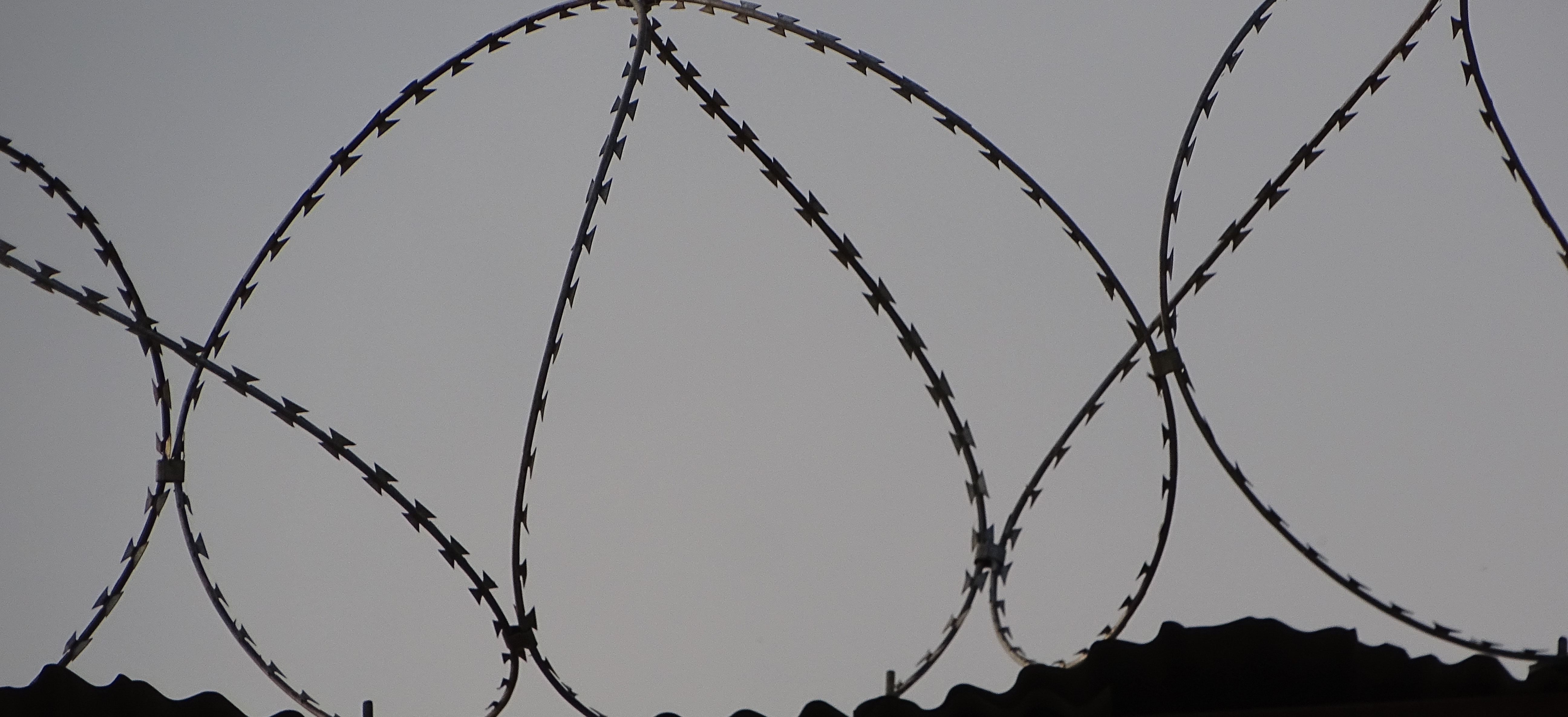 barbed wire