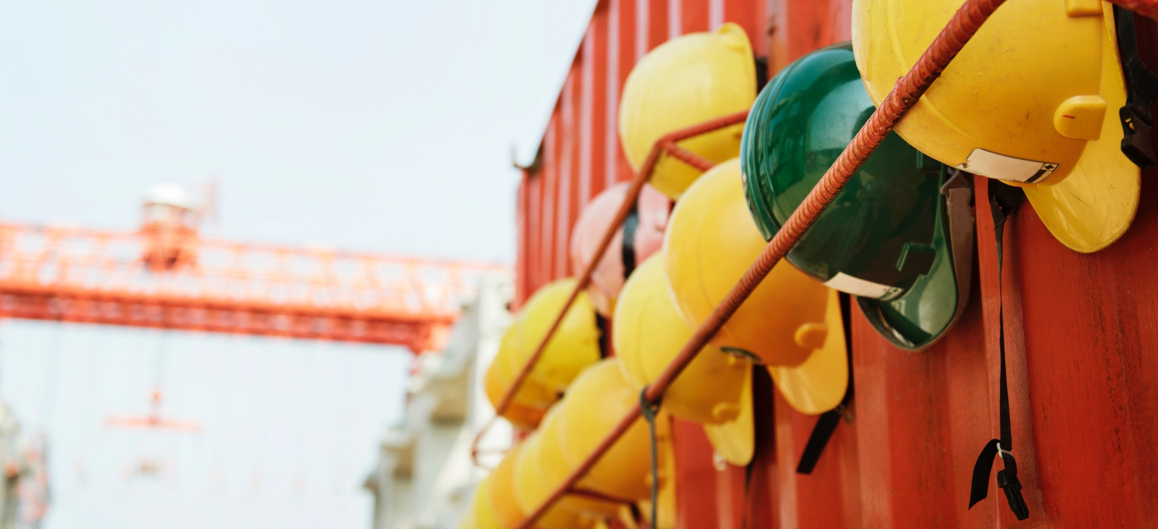 construction hats hung up on a wall