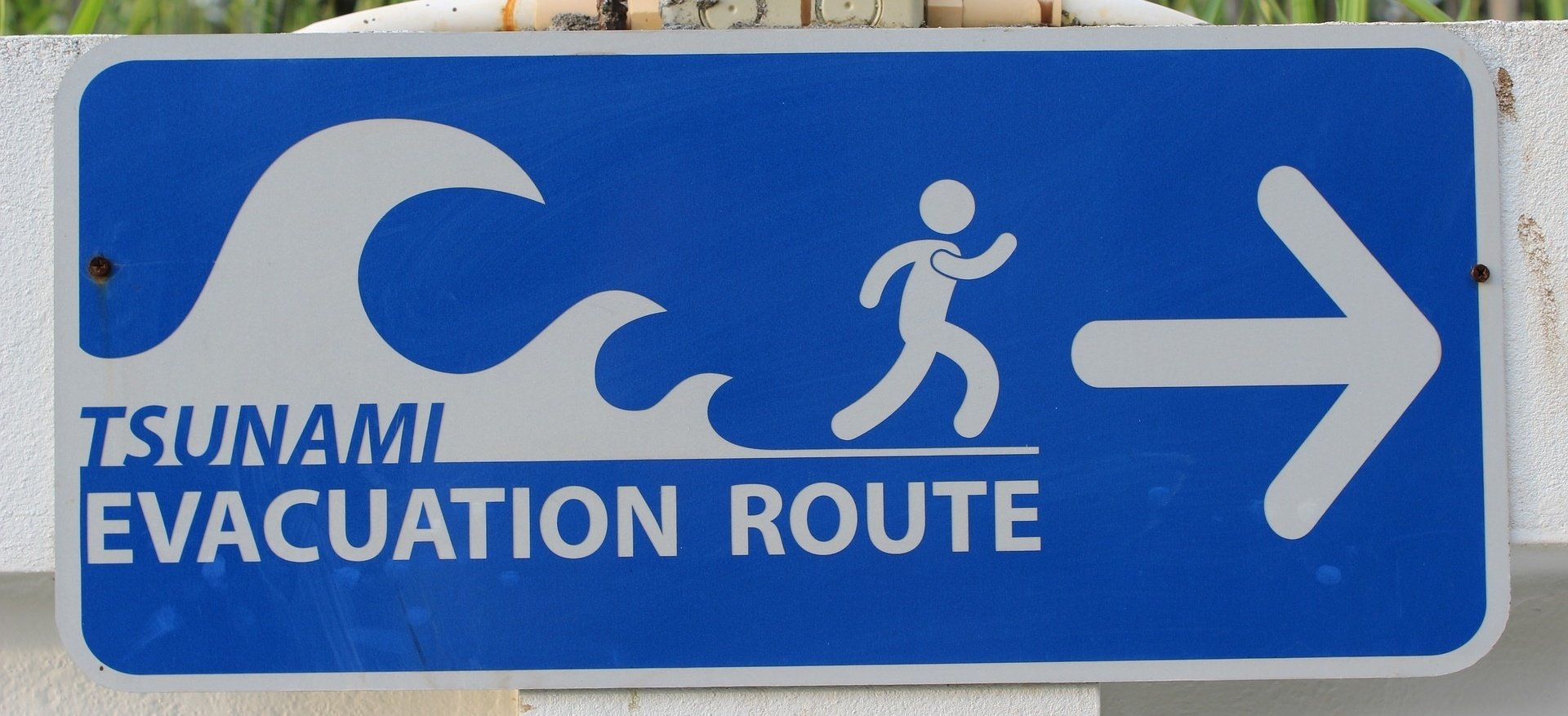 tsunami warning sign